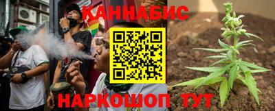 шишки Можга