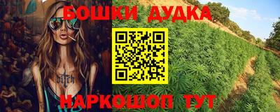 прущие крисы Моздок