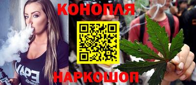 шишки Можга