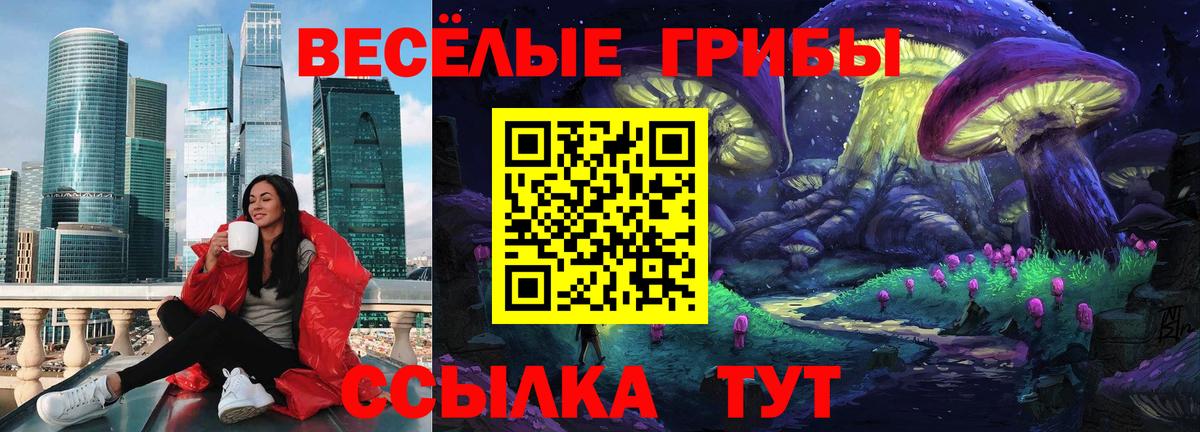 Псилоцибиновые грибы Cubensis Димитровград