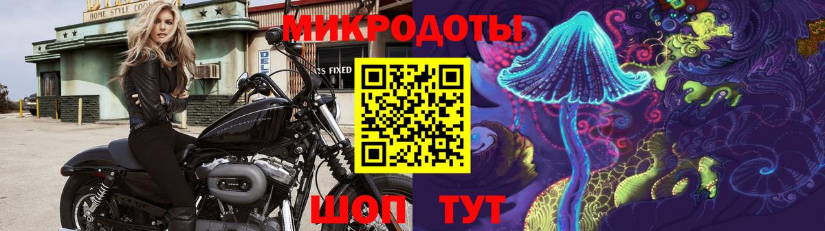 Псилоцибиновые грибы Magic Shrooms  Вход с VPN  Димитровград  Псилоцибиновые грибы Psilocybe 